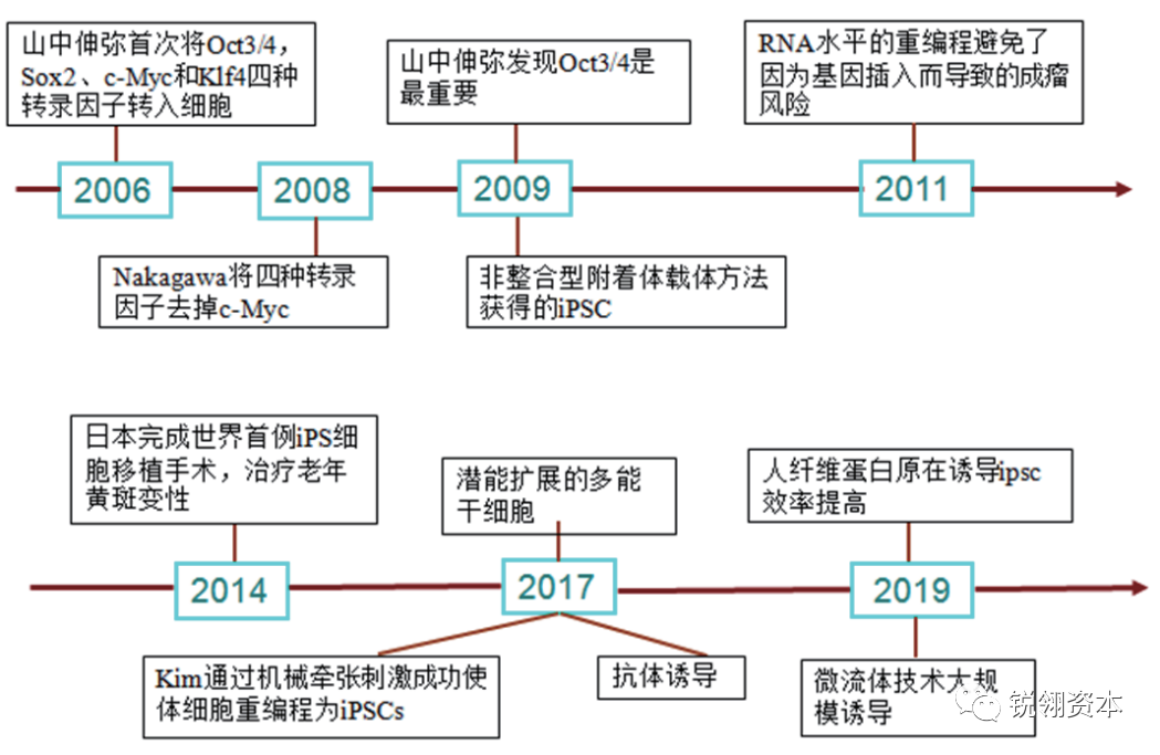 行研报告 