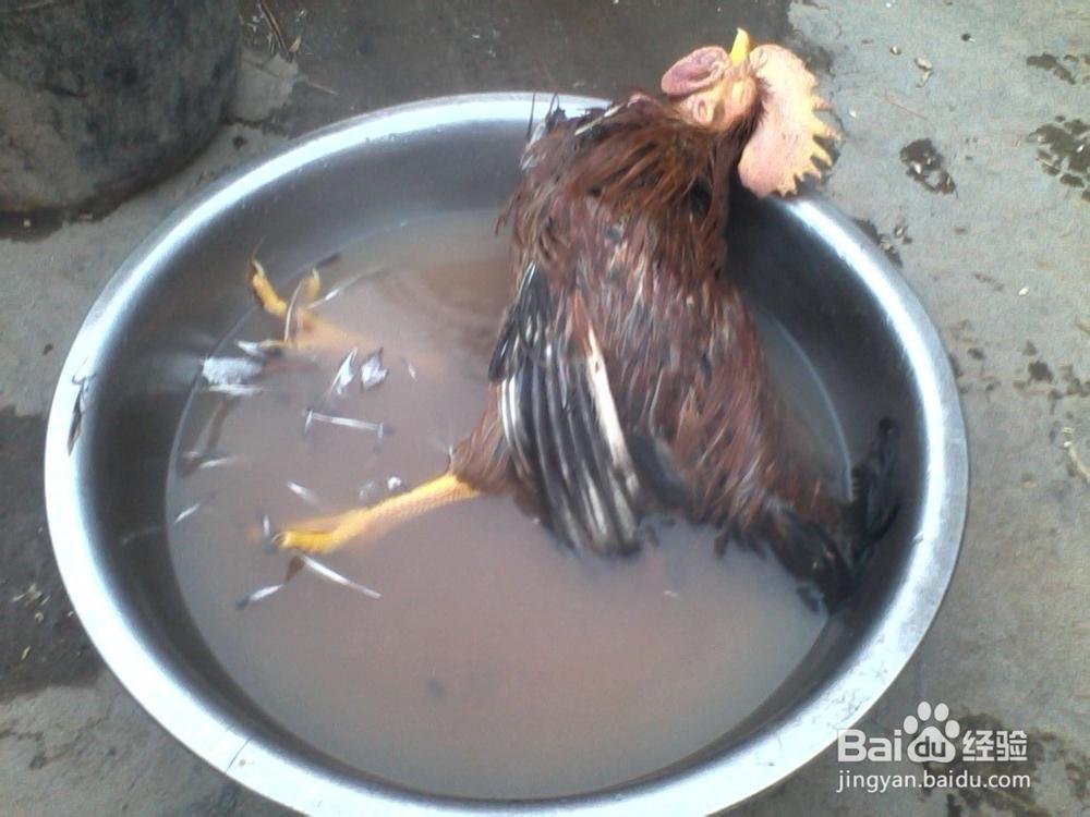 新年和堂哥玩剪刀石头布,三局两胜,输的人去帮