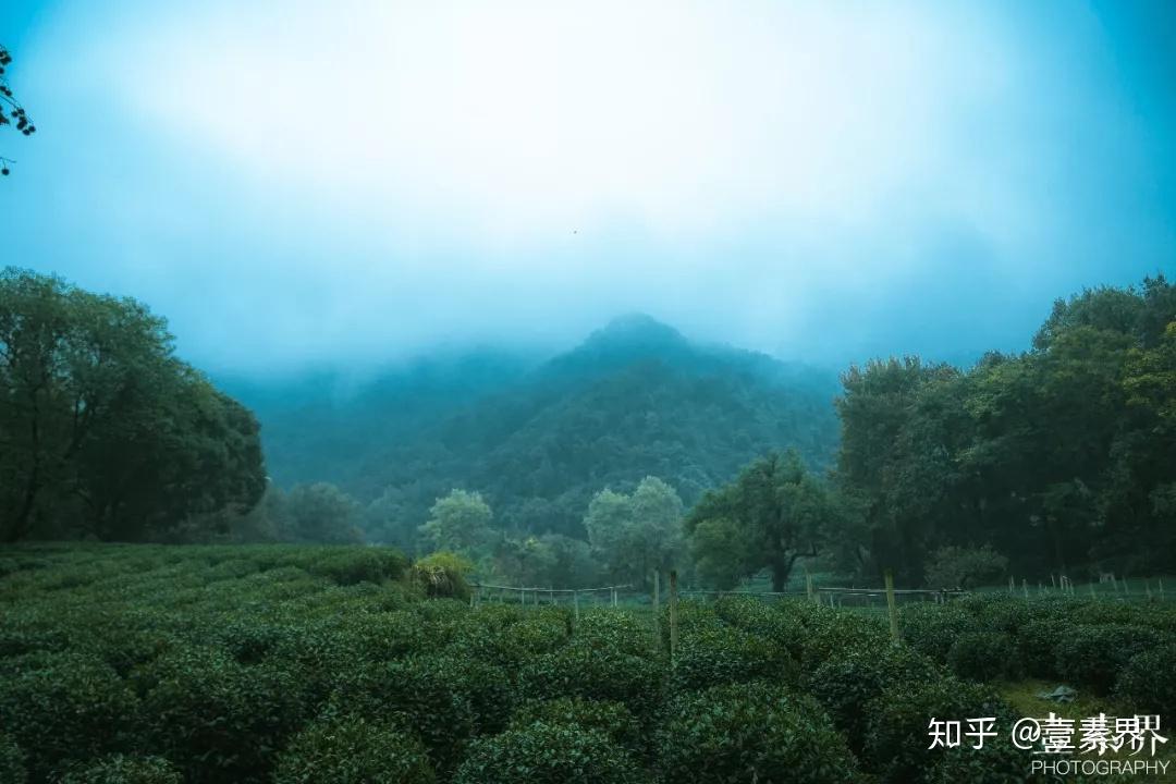 讀書人解毒史記貨殖列傳用歷史的眼睛看清現實的世界