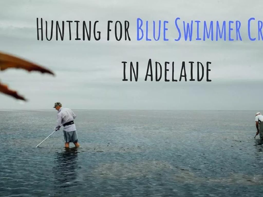 不可错过的阿德莱德夏季活动大集合