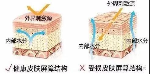 v2-323818030f5c49df202e25edd4cbb1cb_r.jpg