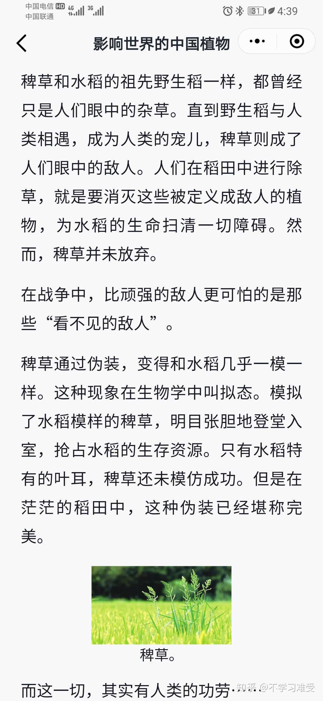 稗子和稻子 余秀华图片