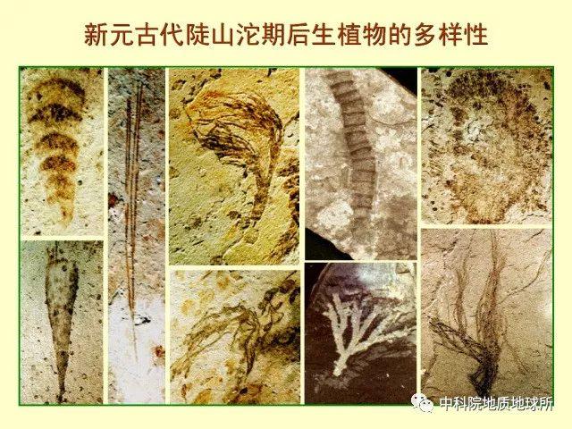 那些年,有个“雪球地球” - 知乎