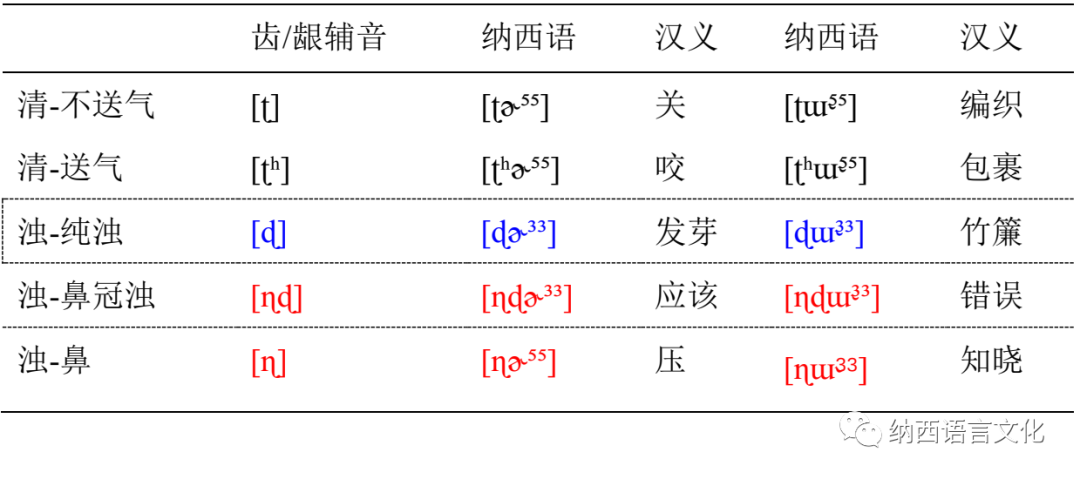 跟我学纳西语国际音标7卷舌辅音和闪音