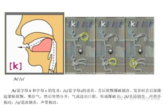 48个国际音标发音舌位图 - 知乎