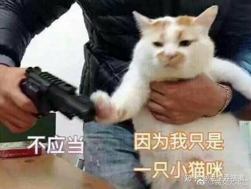 v2-328305f737ca4cfdebf70c9fbb46323b_r.jpg