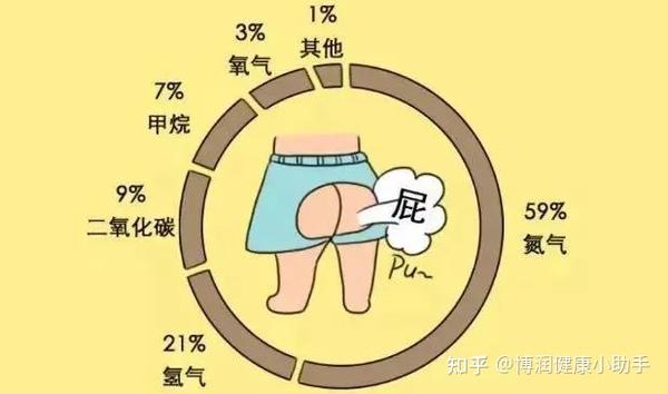 晋城博润微创外科医院科普之胃肠科 | 为什么你的屁特别多? - 知乎