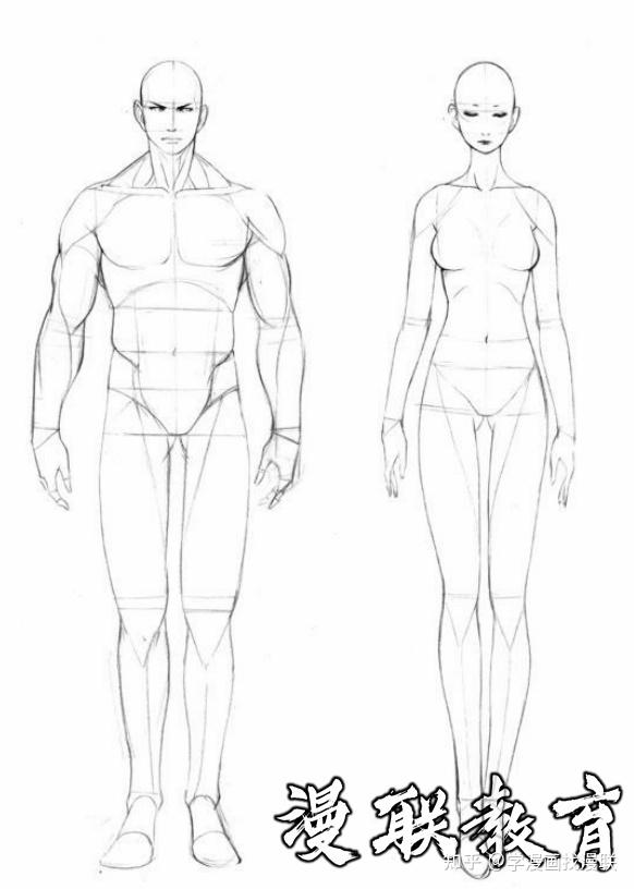 下面来学习人体框架和人体结构在绘画中的一些细节和要点