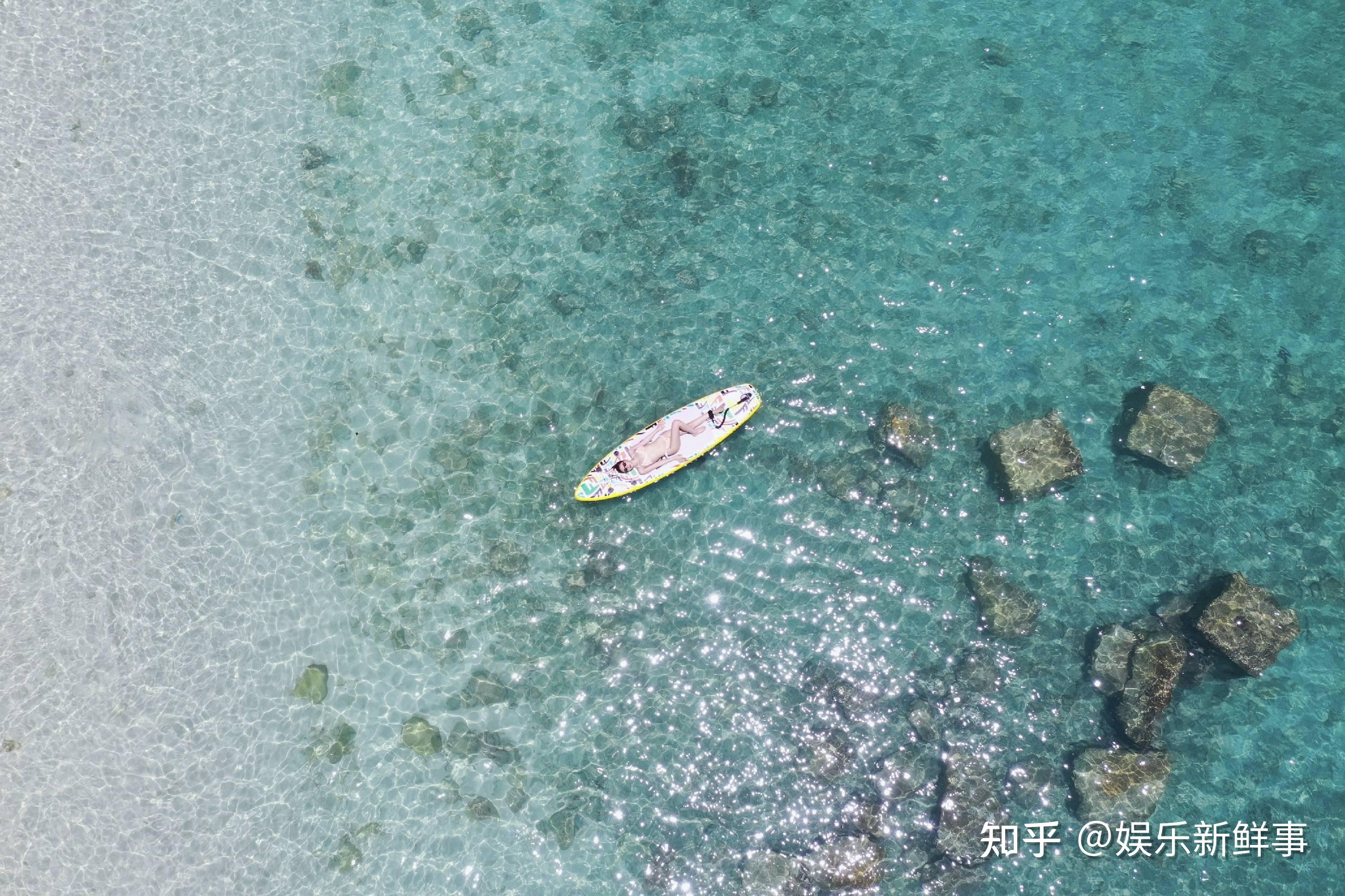 刘珈希“世界海洋日”公开发声 牵手PADI 为海洋环保助力 - 知乎