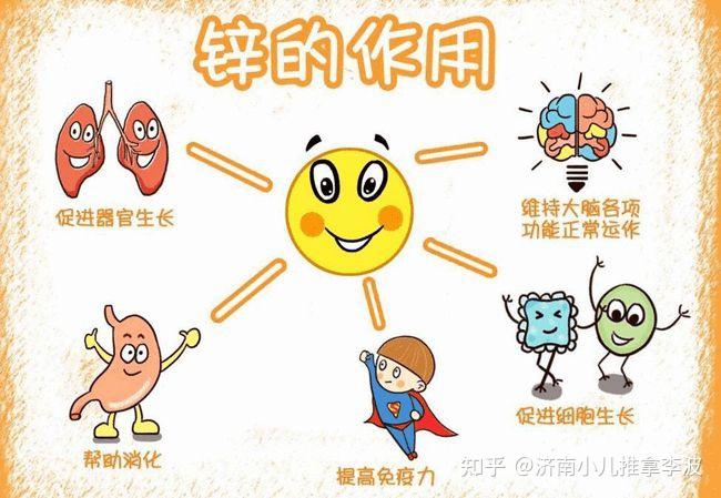 小儿推拿李波:夏季给孩子补锌很重要,如何科学补锌、预防缺锌? - 知乎