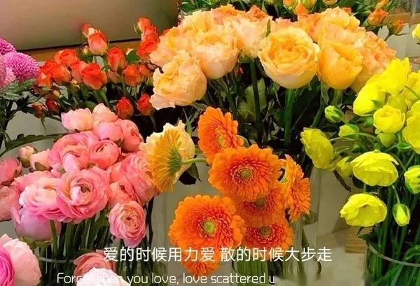 遗憾的文案短句带图片(配图｜深情遗憾的文案)