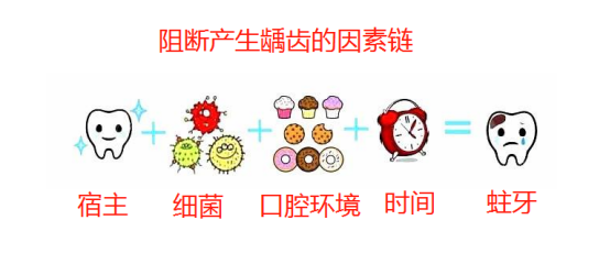 如果我们能削弱或者阻断龋齿四联因素中的一个或者多个,就能减少甚至