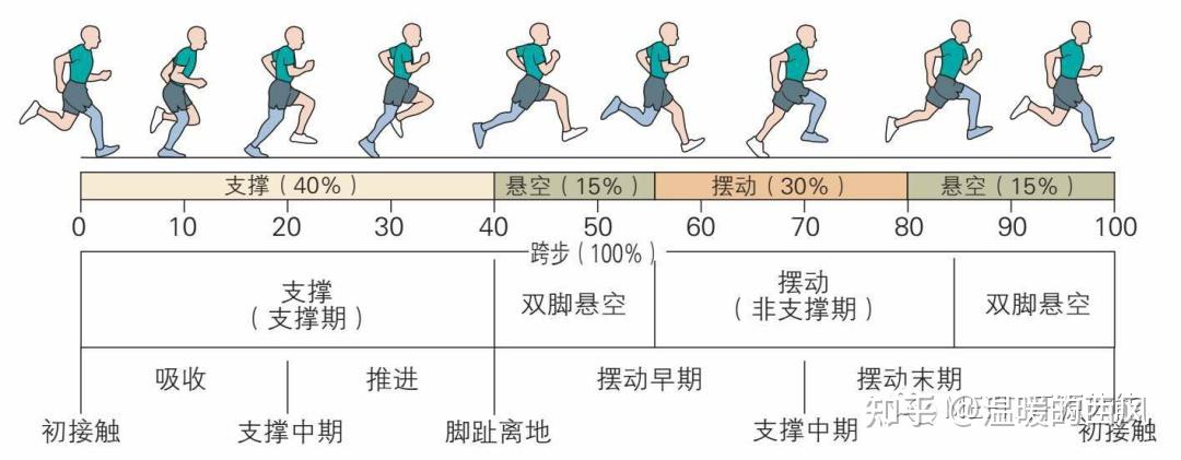 跑步与走在许多方面很相似