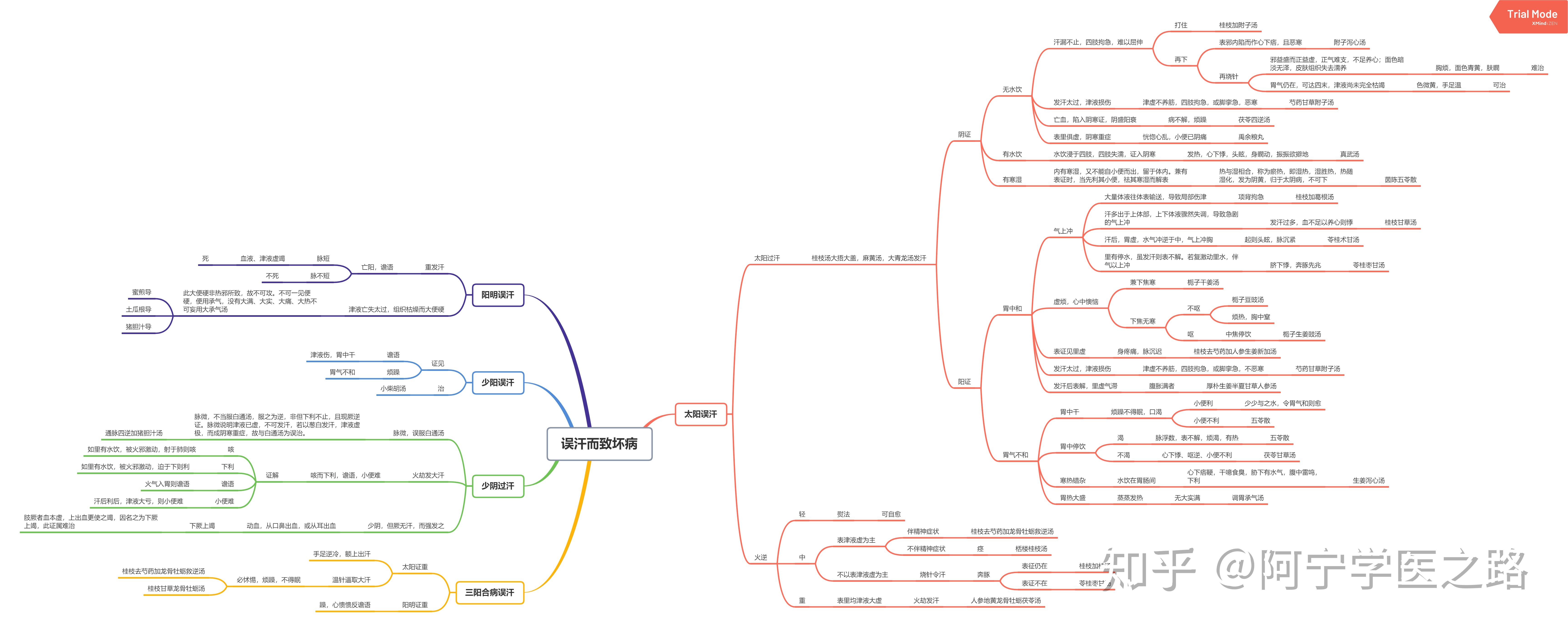 中医经典伤寒论思维导图笔记