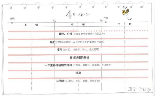 想打造一个属于自己的宿根花园吗 知乎