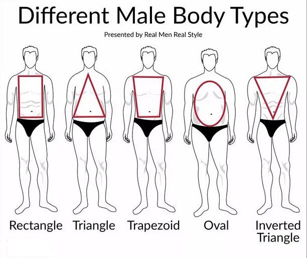男士体型与女士体型大全 看看你真的了解自己是什么体型吗 知乎