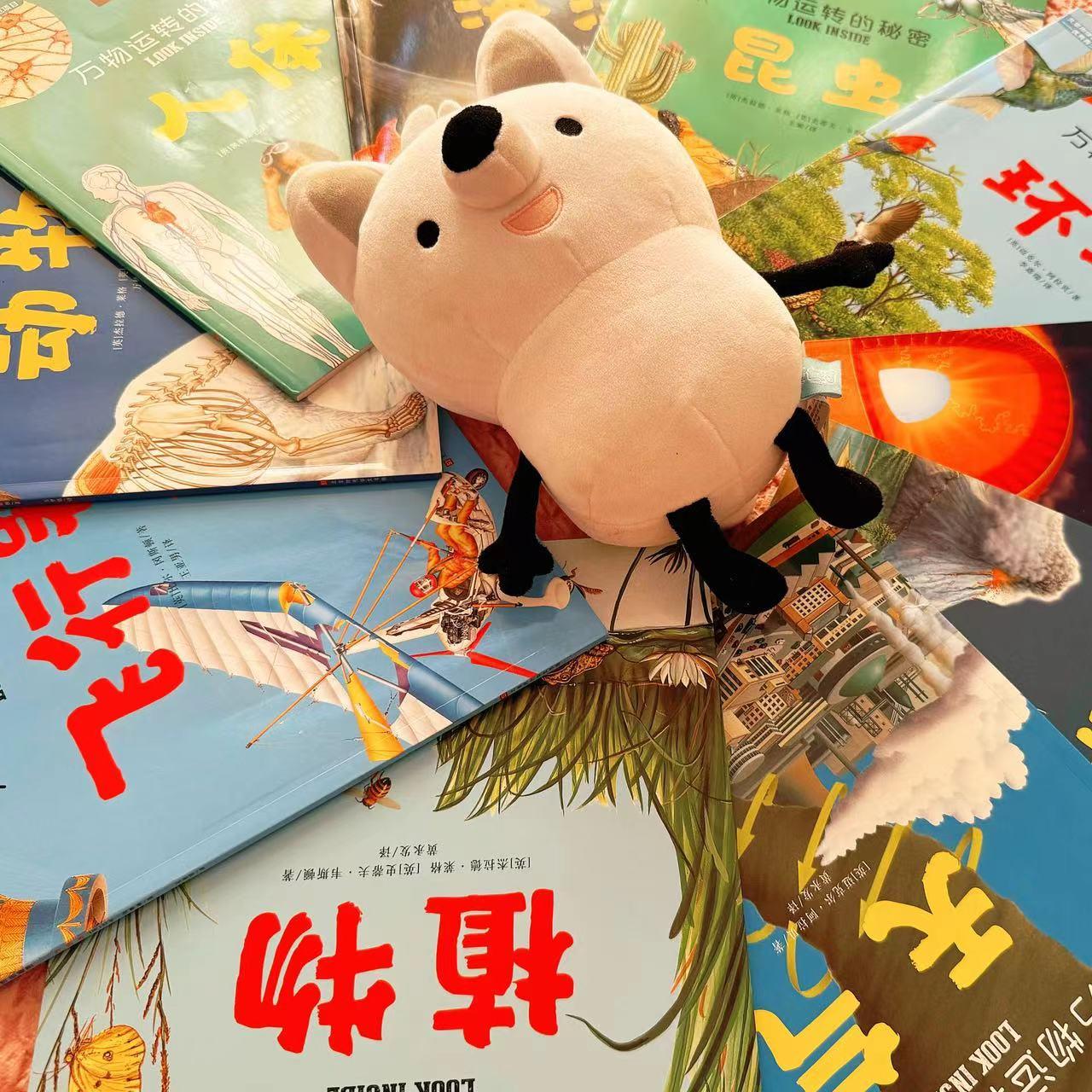 好物清单｜2024年我给纶宝入了这些好东西❤️（玩具、幼小衔接教材、绘本童书） - 知乎