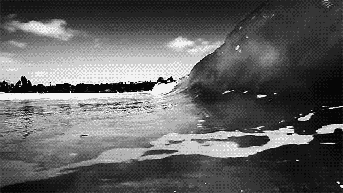 GIF 动态图(6) 自然风景:海洋世界 (船、游鱼、海豚、贝壳等)【多图欣赏】 - 知乎