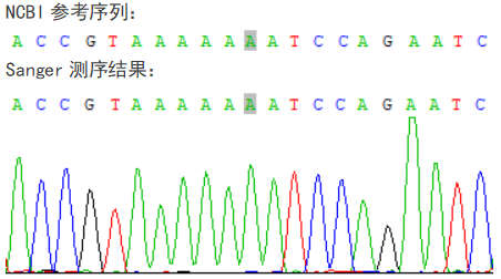 附录:变异位点一代测序