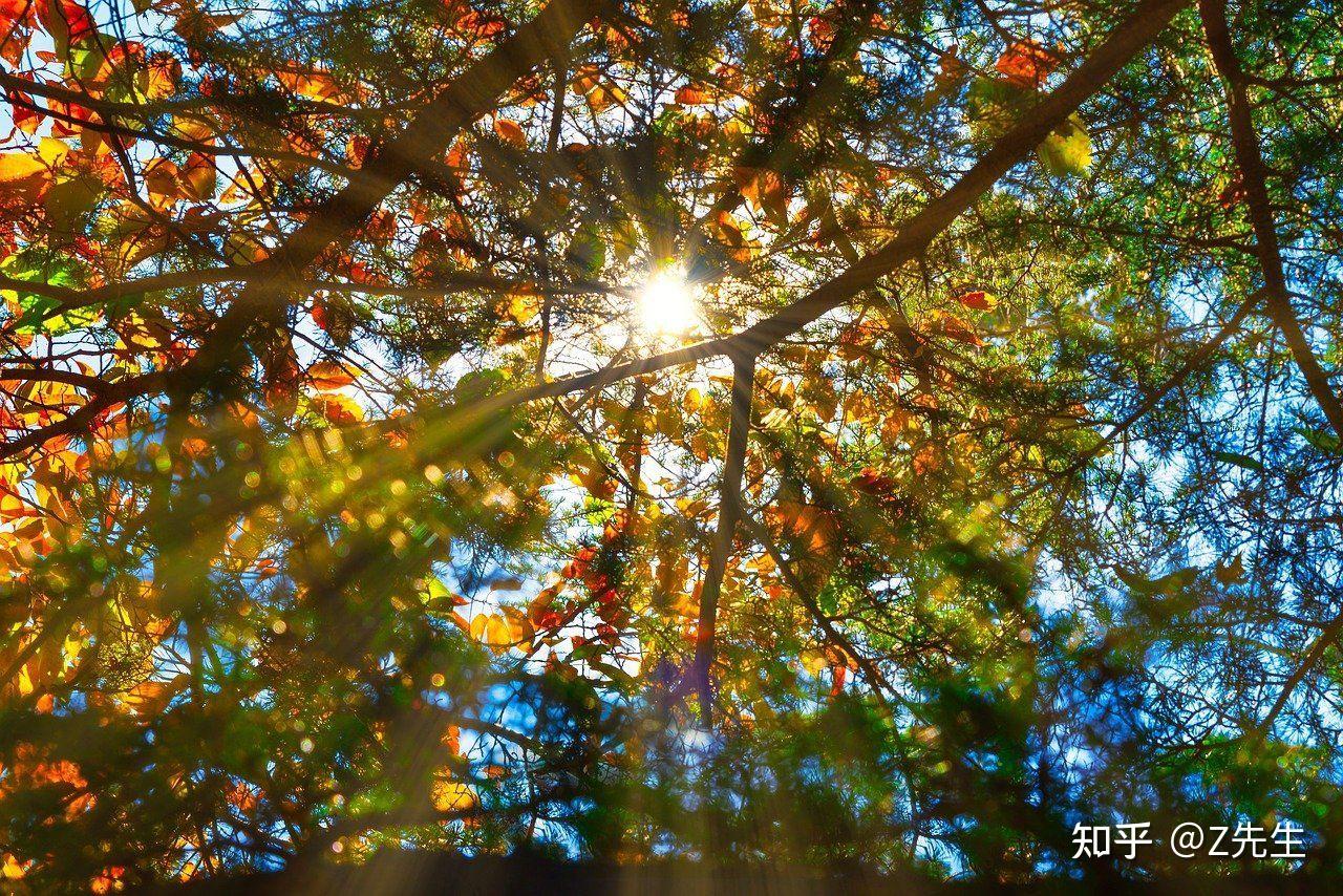 开始的,表白是蓄谋已久,而接受表白可能只是不侗蝗讼不兜母芯醵