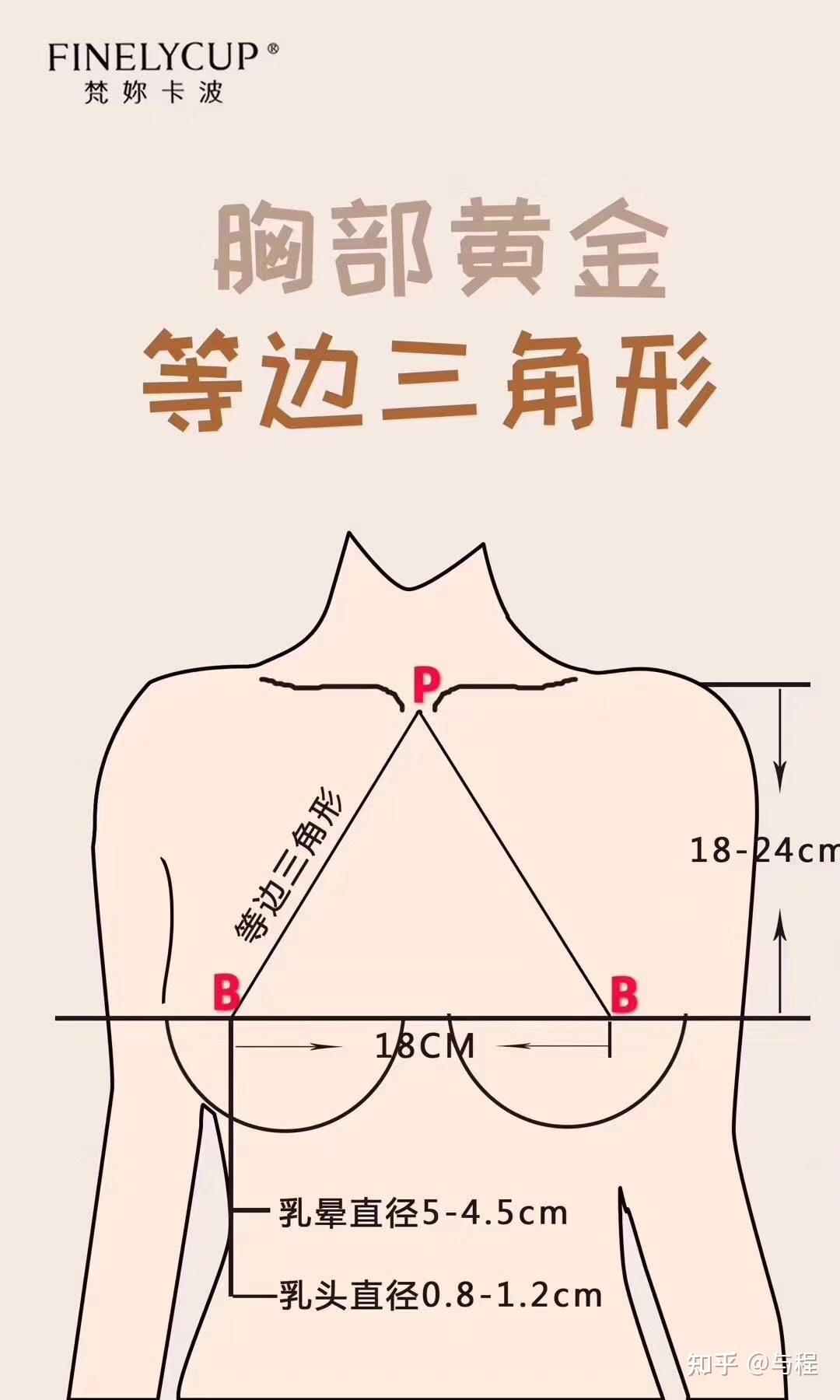 胸外扩怎么判断图片