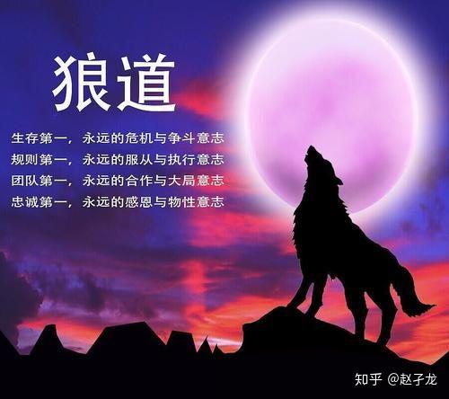 《狼道》狼的人生,狼教给你的人为处世的哲学 - 知乎