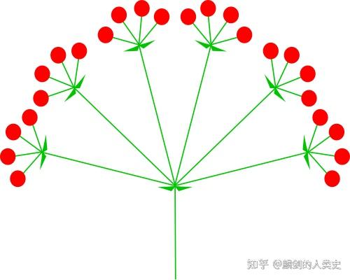 植物界全系列伞形目伞形科