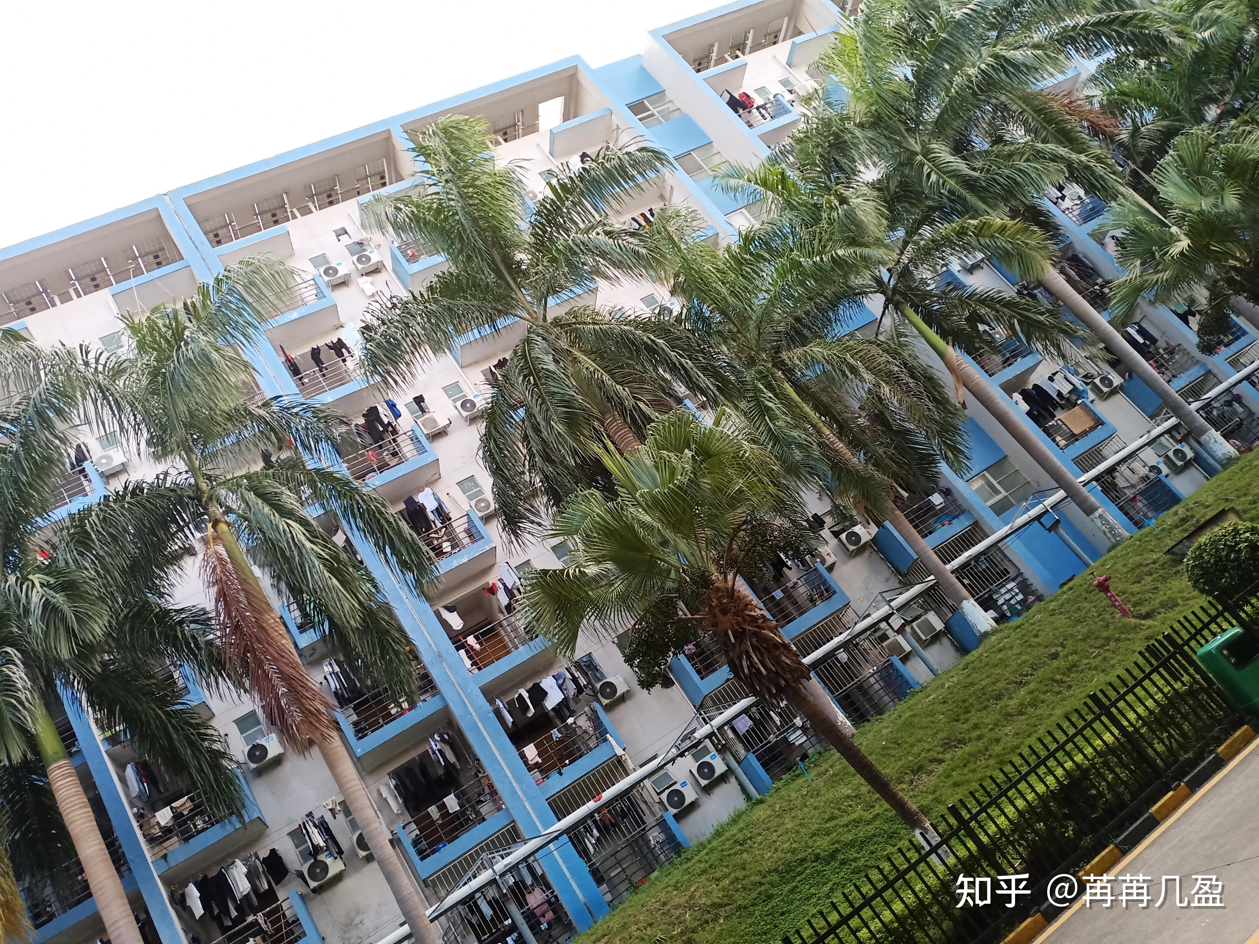 上海比亚迪宿舍照片图片