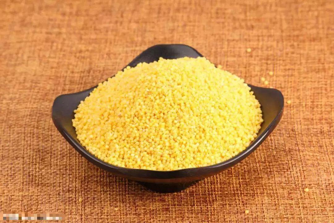 现在能种小米吗 v2-3346a6956a6e3f3112be2d3b27d07ffa_1200x500.jpg