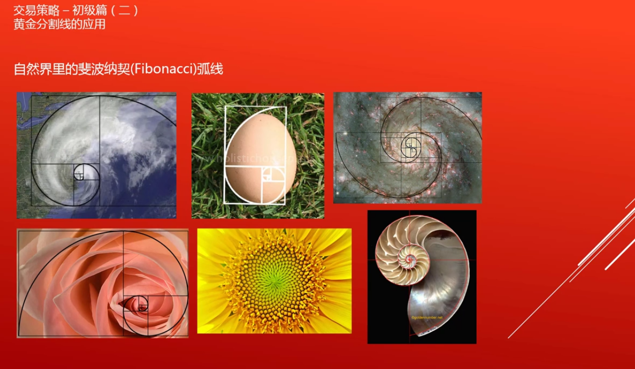 鄂谷子EMillet——外汇交易策略初级篇(二) - 知乎