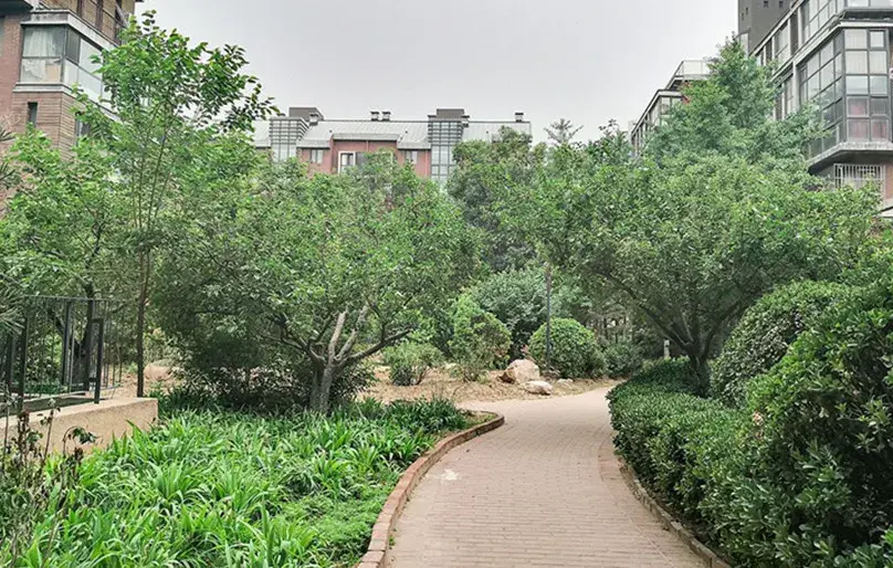 华美橡树岭由低密度电梯薄板式住宅围合而成,共计6栋楼,474户.