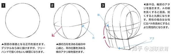 人物不同年龄段之头 脸部绘画基础教程 精品 知乎