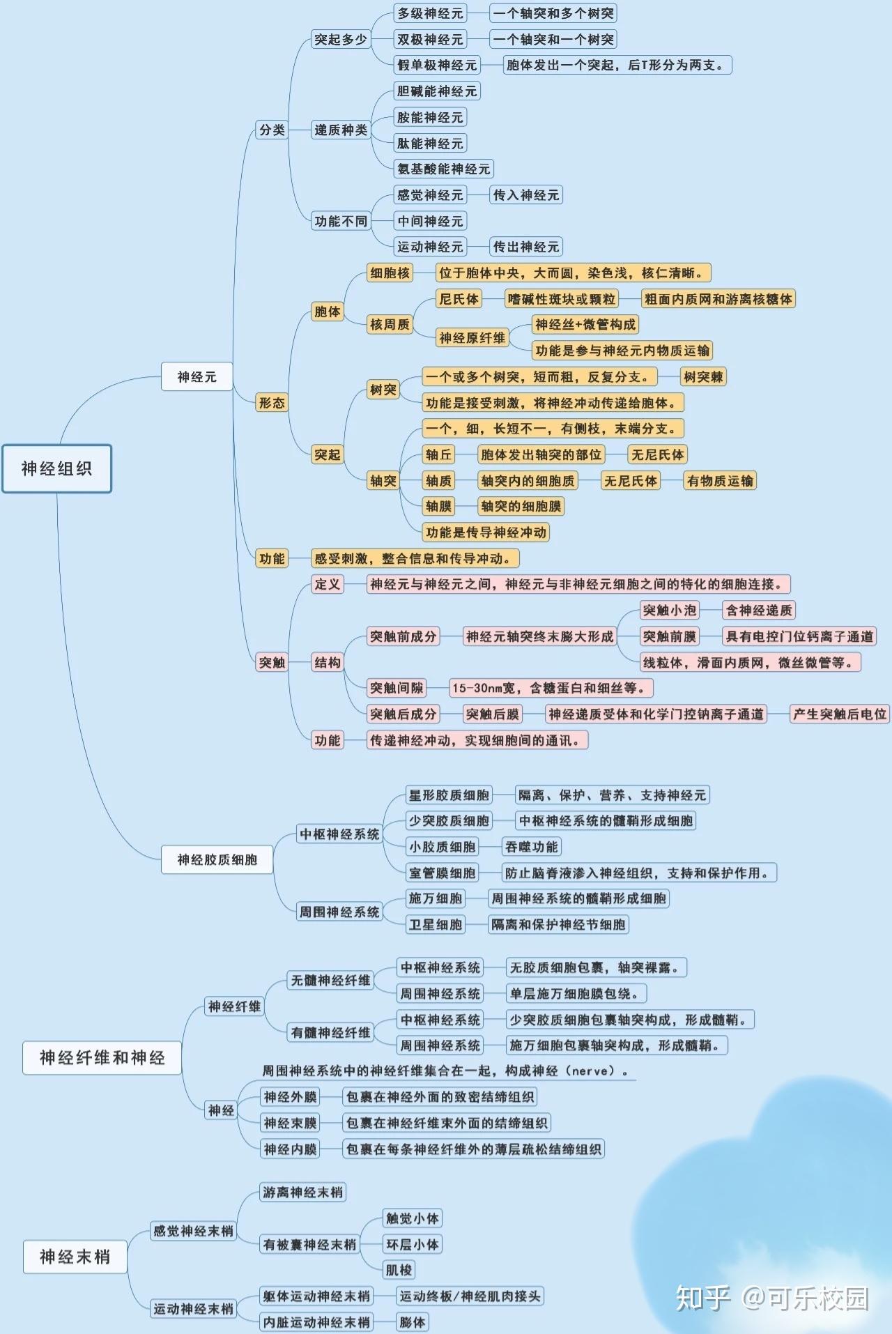 神经组织思维导图组胚图片