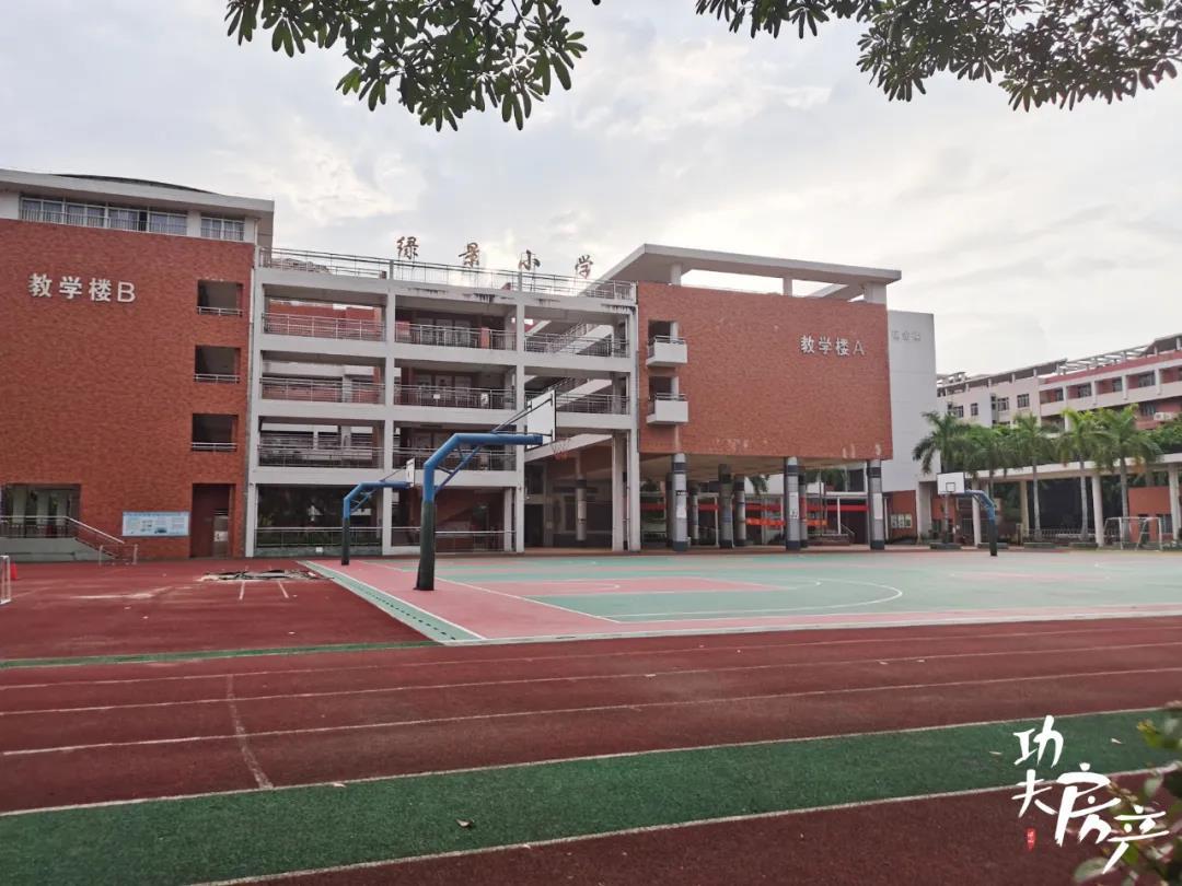 ⑥桂城双学位怡翠花园:↓↓⑦南海中心小学:↓↓⑧桂江一中(上)