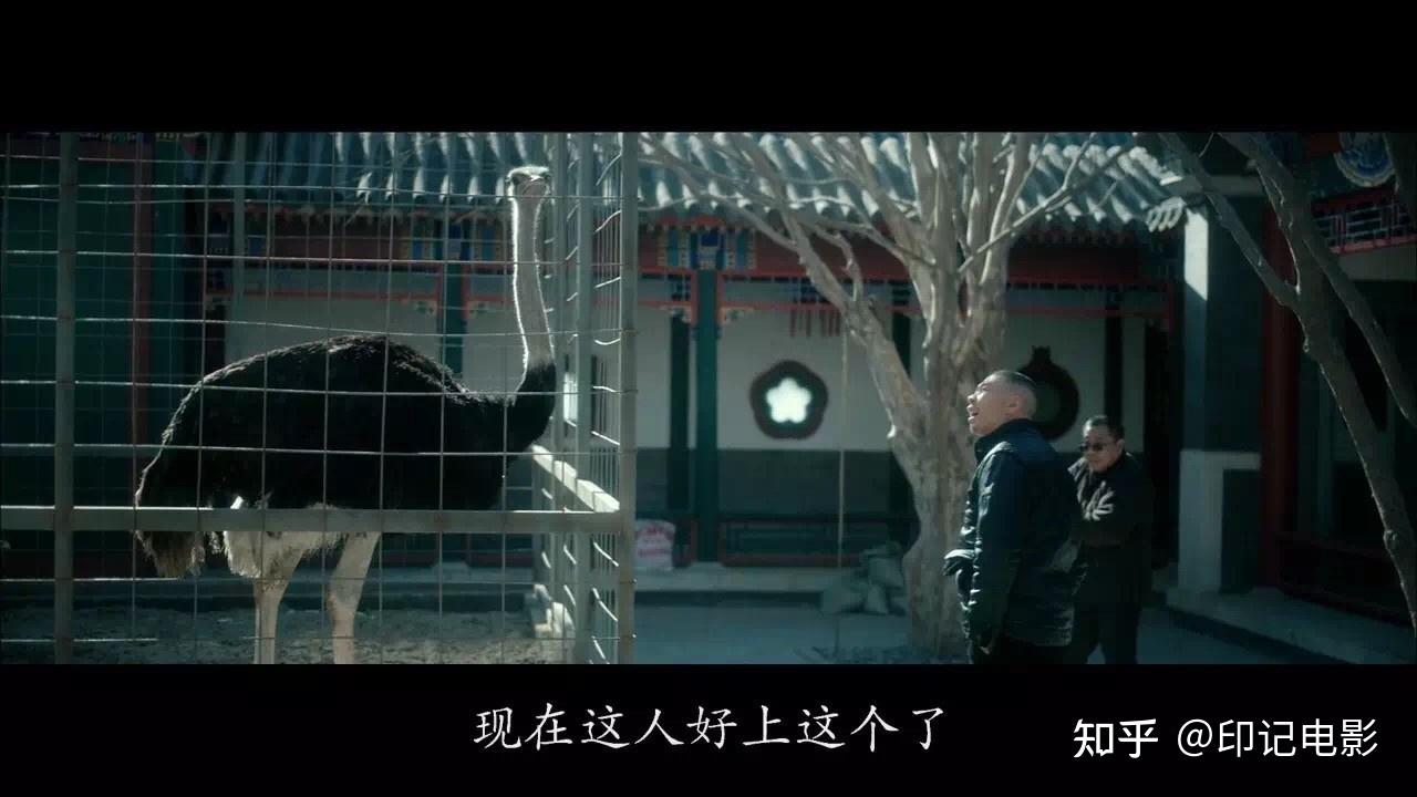 冯小刚新片忠犬八公定档跟原版相比这三点既期待又担心