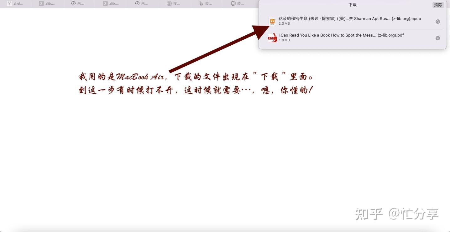 2023年，分享一个怎么下载zblibrary上面的电子书的方法。 知乎