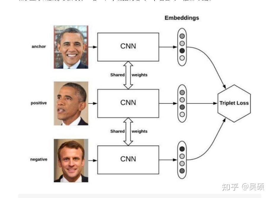 torch 损失函数大全 知乎