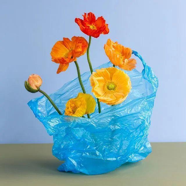 塑料袋不要随便扔还可以拿来做花艺