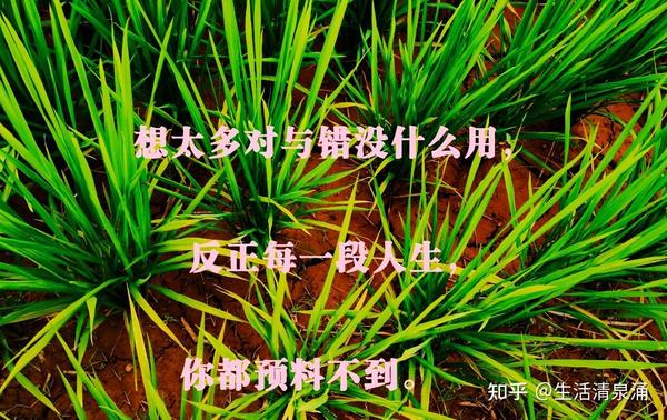 人的一生，最重要的其实就这2件事 - 知乎