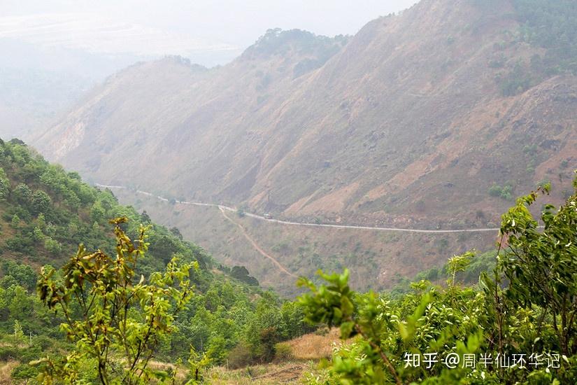 环华第181天田蓬珠街