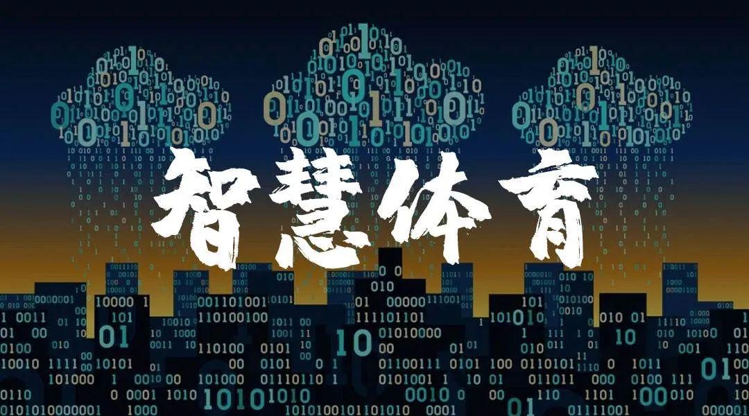 依托福建省建设国家数字经济创新发展试验区的契机,实施体育产业数字