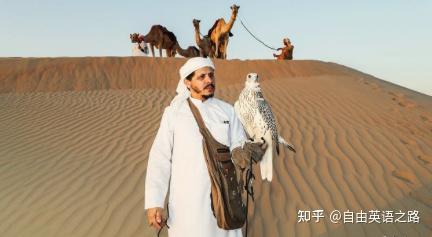 原文标题:falconrybeak demandthe market for falcons is soaring as
