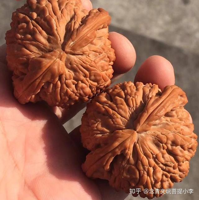 涨姿势：文玩核桃入门知识，长篇- 知乎
