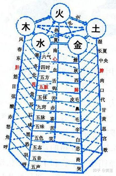 中医基础丨五行与五脏 - 知乎