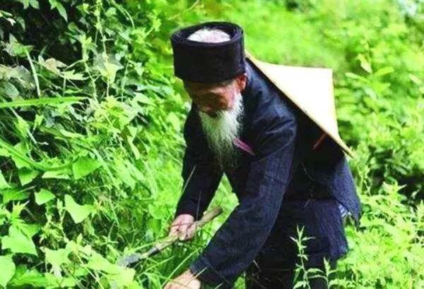 北京欧倍尔新品发布丨苗医优势病种与苗药应用及配伍