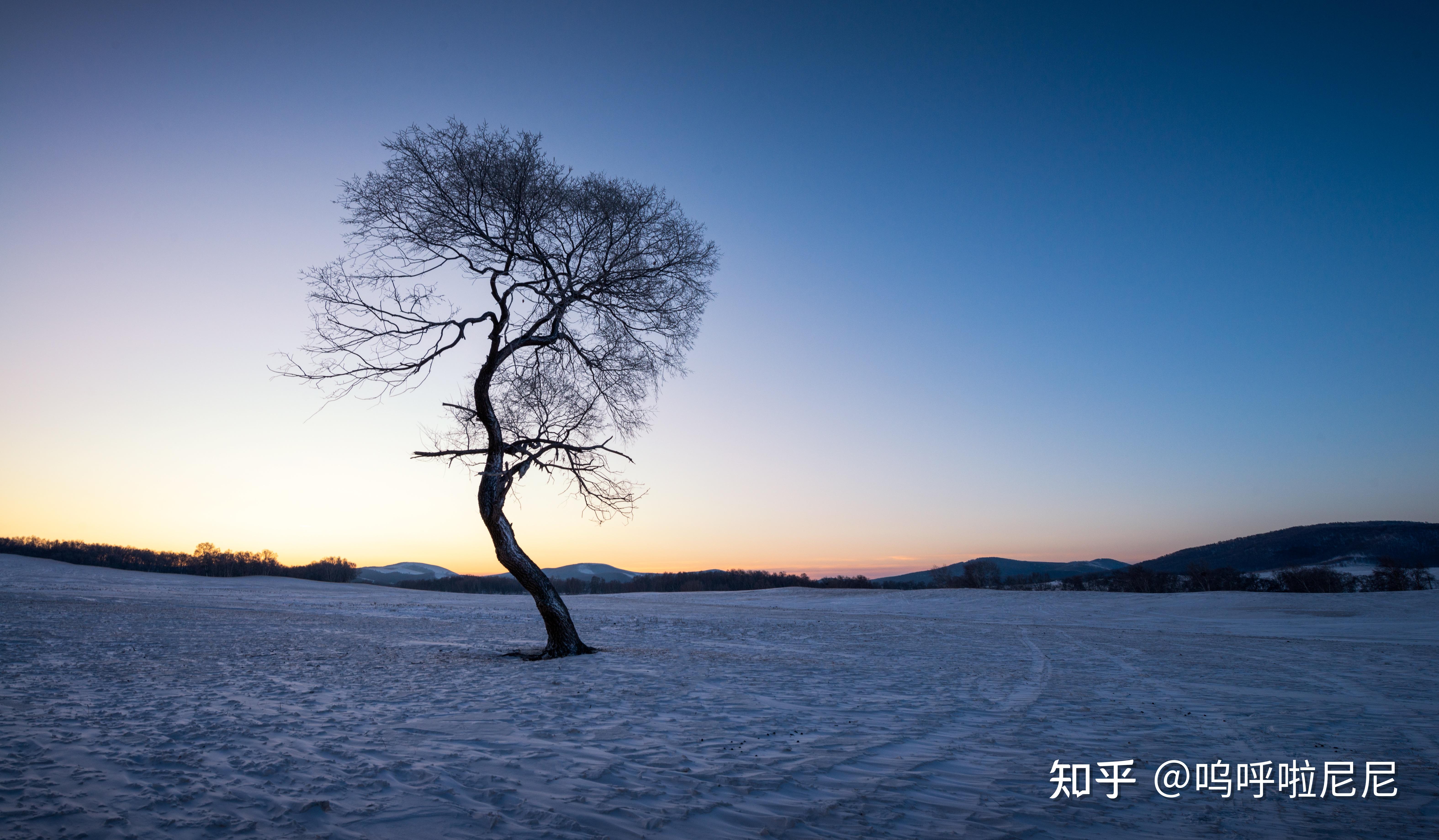 百年孤独经典语录壁纸图片