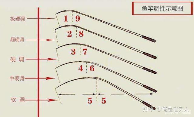v2-33cd1bed9f76807c164331d15a1b425f_r.jpg