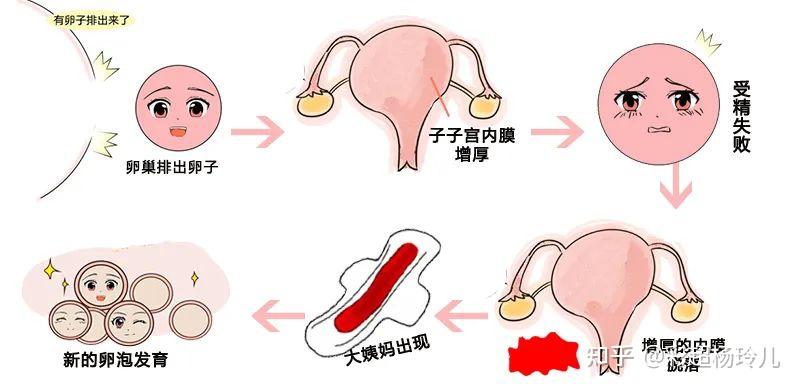 子宫生病的信号