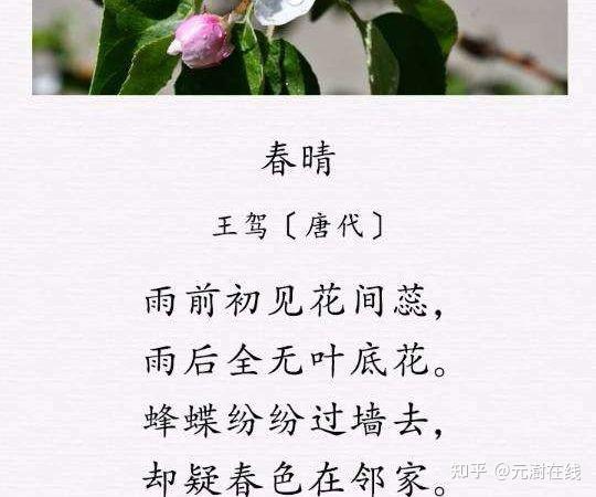 23)元 澍林中深处有人家和韵唐朝诗人王驾《春晴》回赠友人邱总诗一首