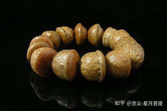 问:文玩菩提一共多少种?答:无数种,常见的多少种?答:31种- 知乎 问:文玩菩提一共多少种?答:无数种,常见的多少种?答:31种- 知乎